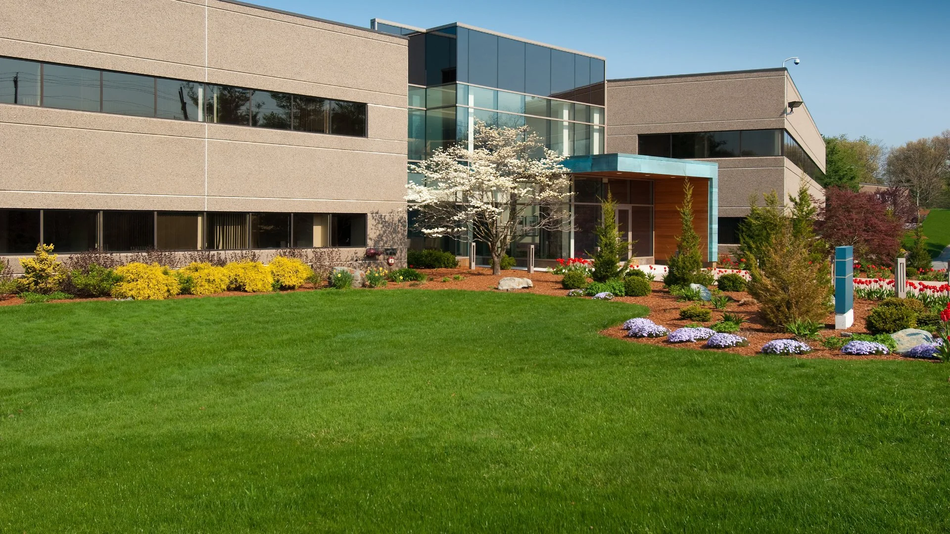 Commercial property with green lawn and colorful plants