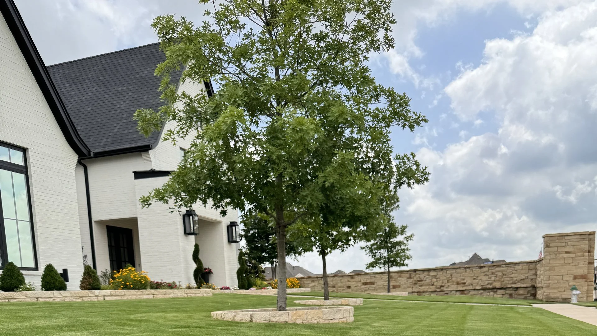 Trees in front of a house