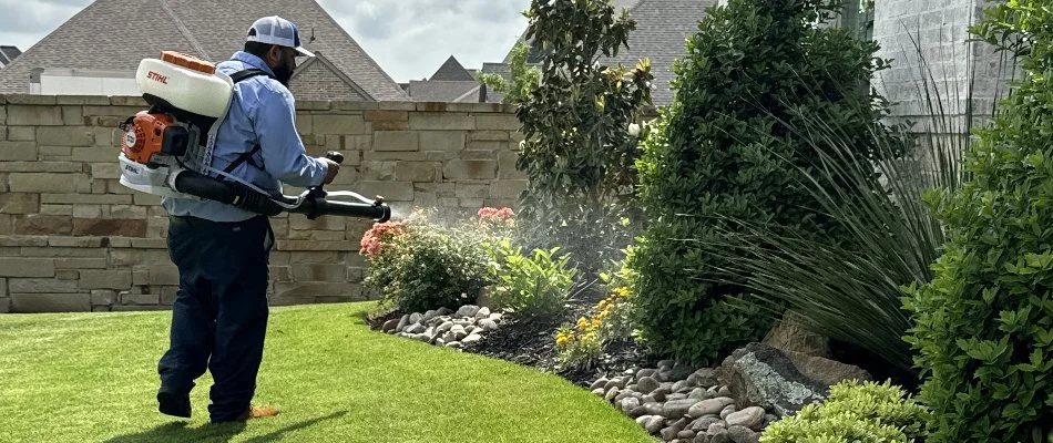 Mosquito Control services