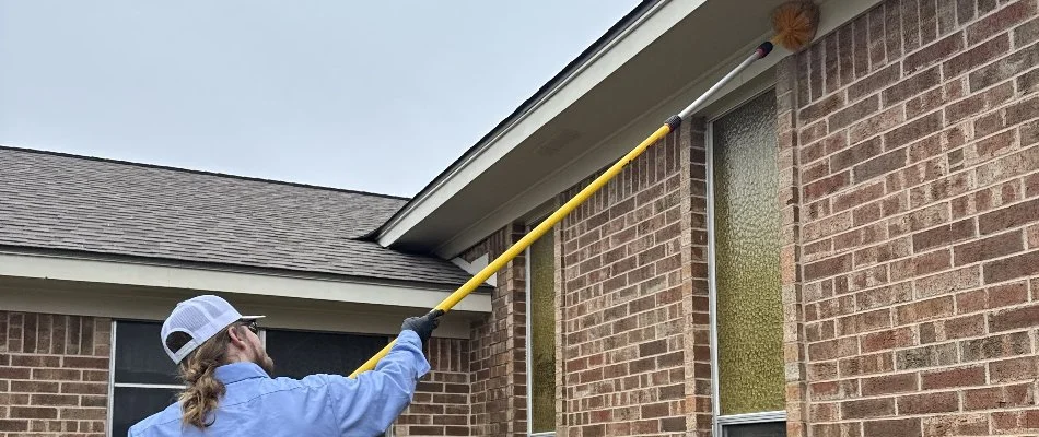 Professional spider control treatment