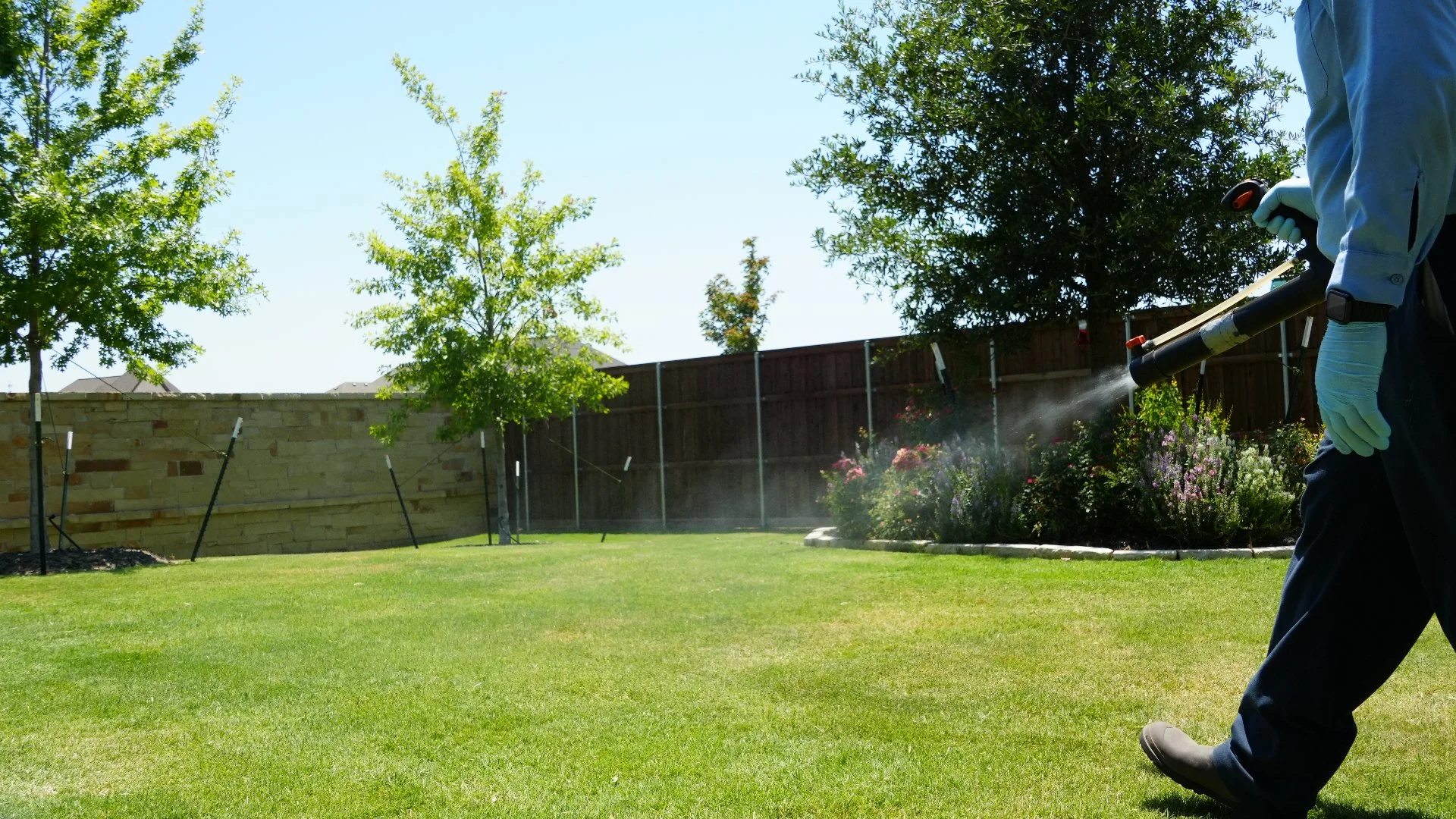 Backpack fogger administering lawn application in Fort Worth, TX.