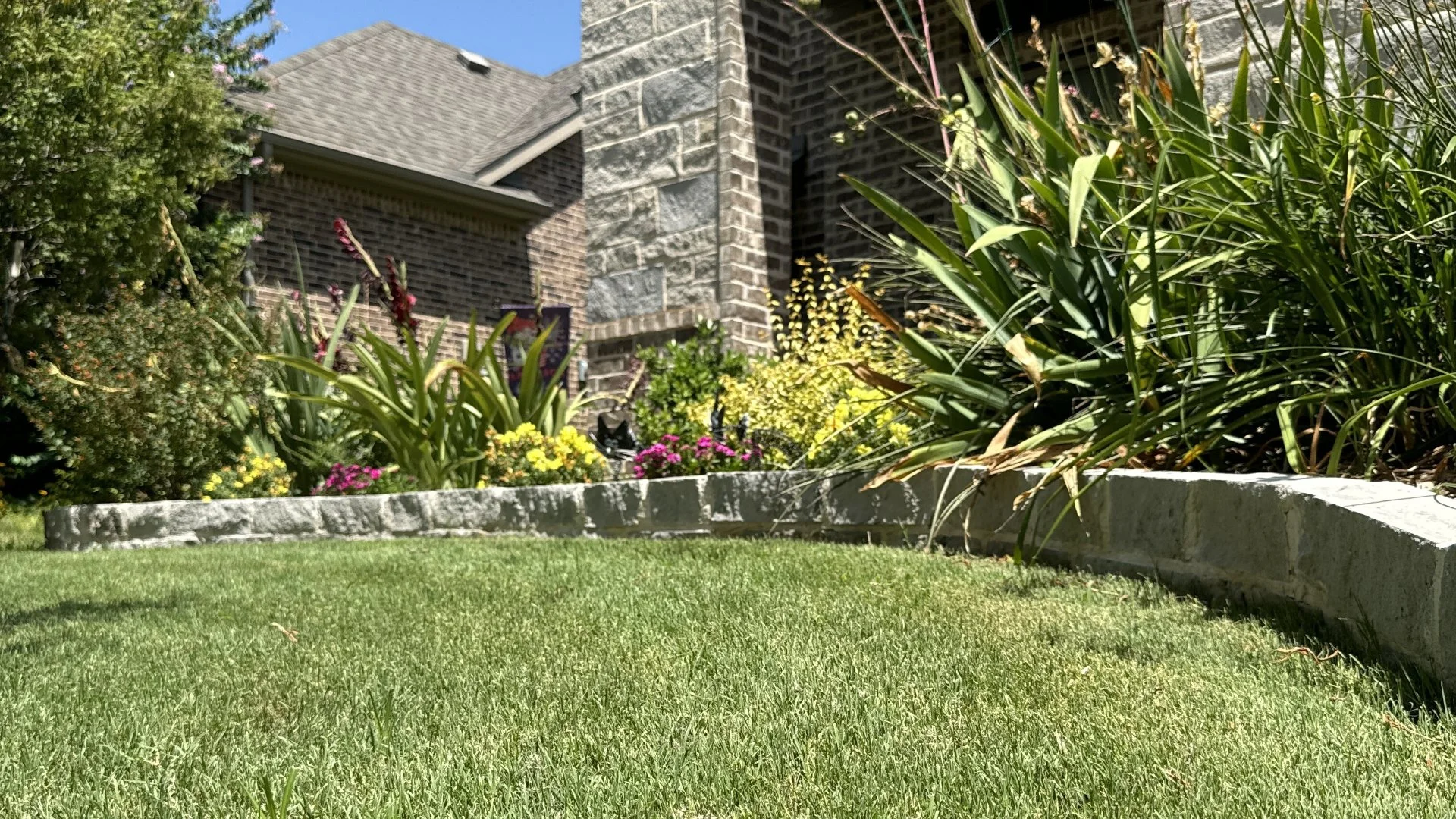 Green lawn by landscape in Dalworthington Gardens, TX.