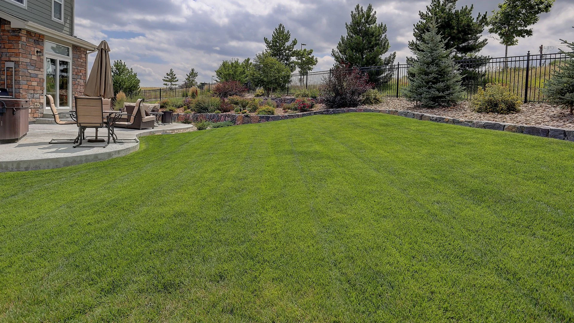 Green lawn surrounded by landscaping in McKinney, TX.