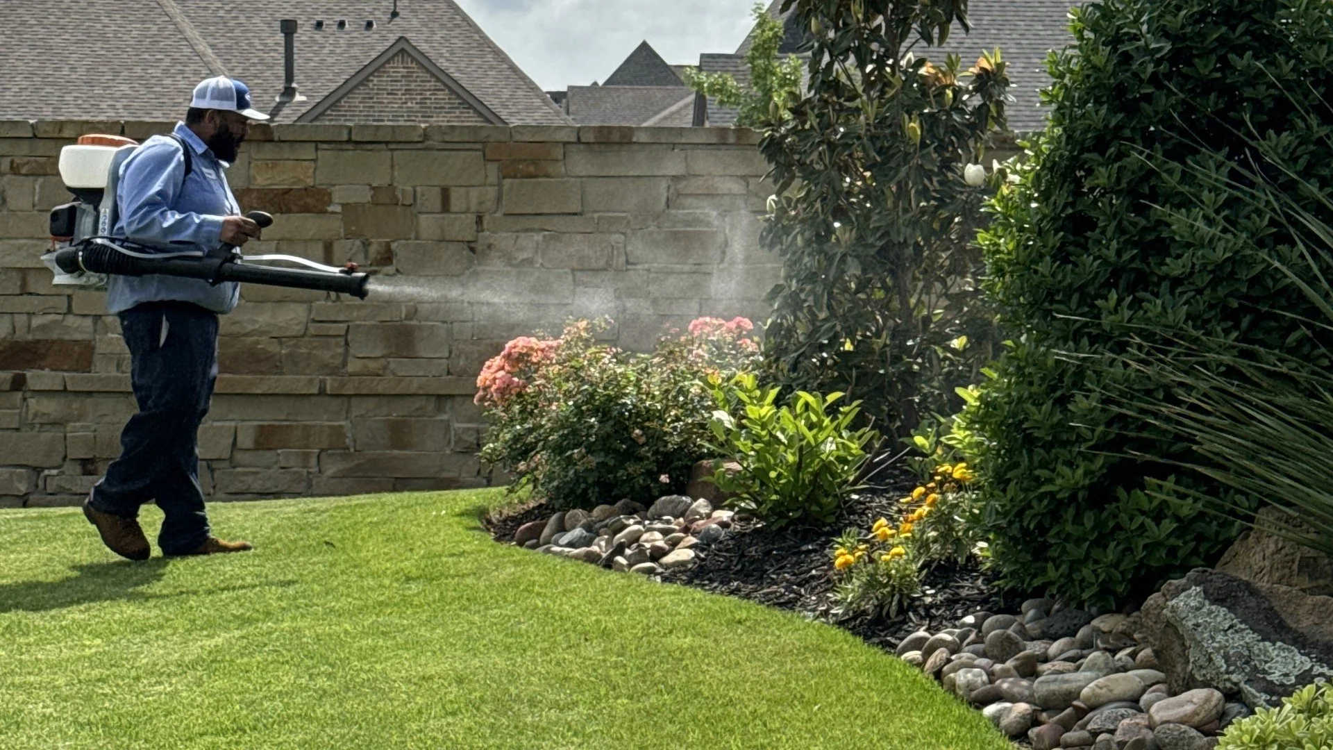 Landscape bed being sprayed with a fogger application in Lancaster, TX.