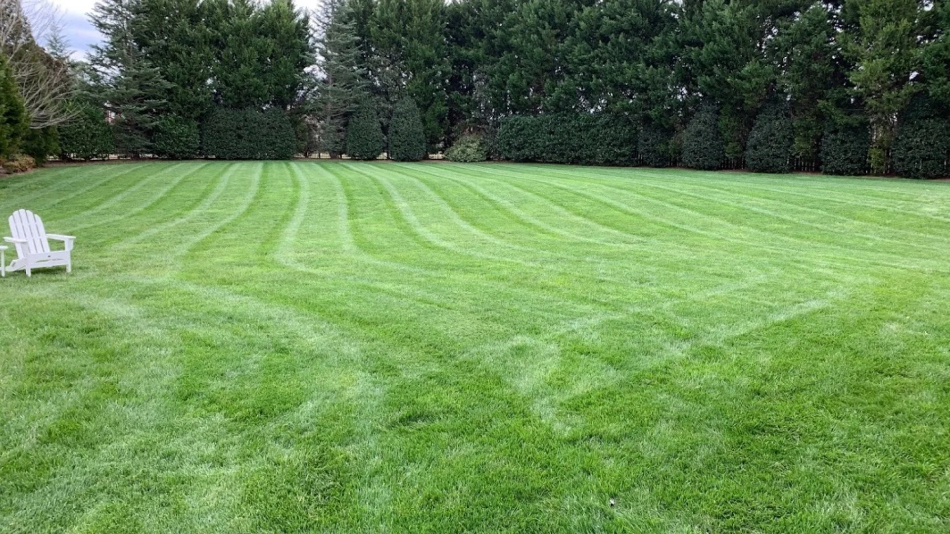 Freshly mowed large lawn in Dallas, TX.