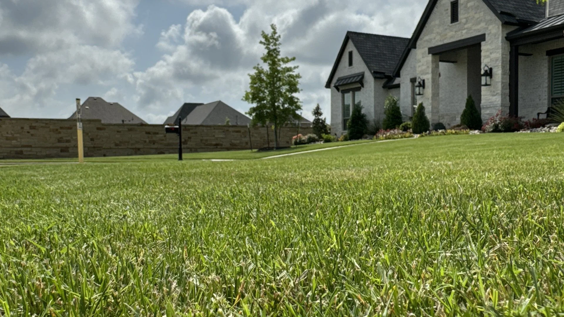 Low view of house front lawn in McGregor, TX.