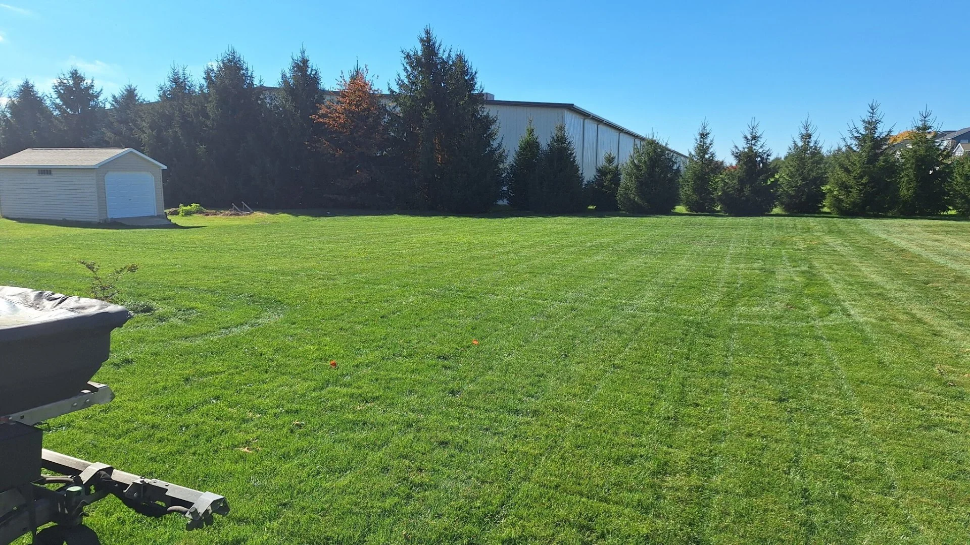 Wide view of a manicured lawn with trees in Dallas, TX.