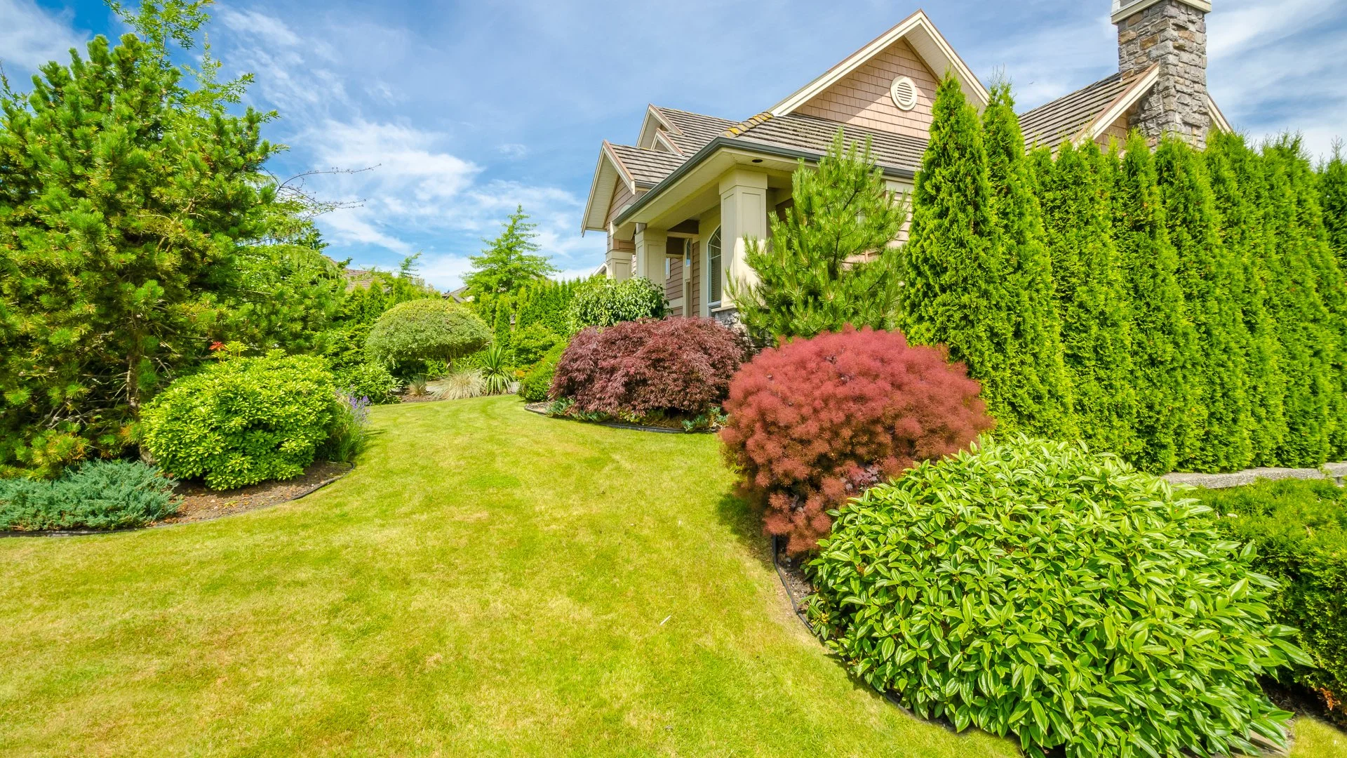 Several trees and shrubs at a Arlington, TX property.