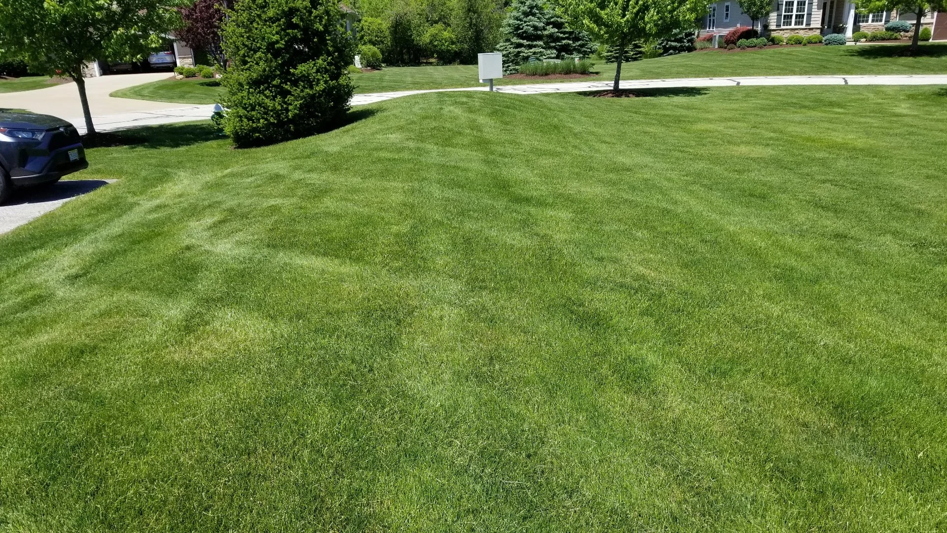 Beautifully maintained lawn with trees in Dallas, TX.