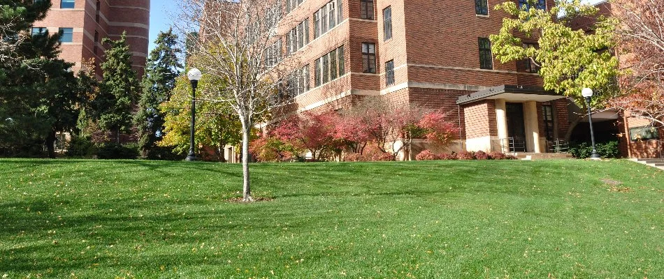 Apartment complex with green grass and sidewalk in Dallas, TX.