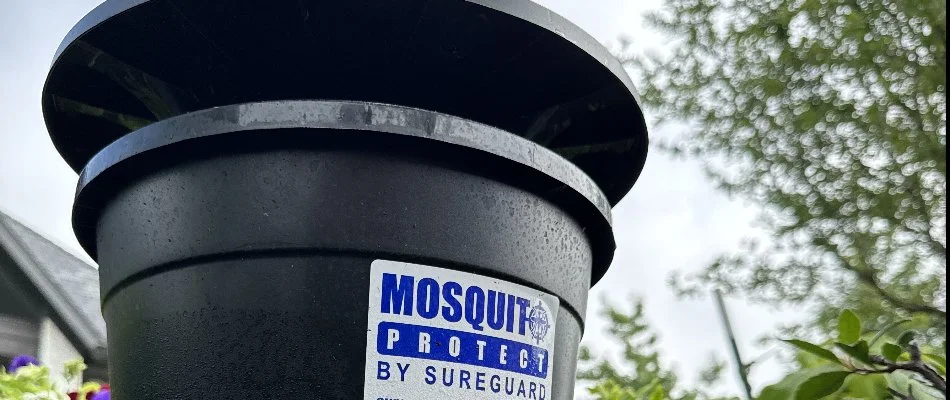 A black mosquito trap with a Sureguard sticker in Mesquite, TX.