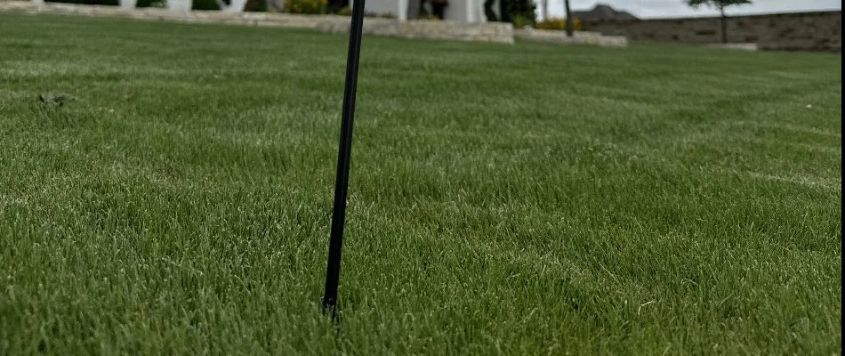 A green front lawn in McGregor, TX, with a black sign post.