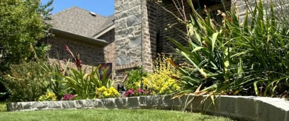 Colorful plants in a landscape bed.