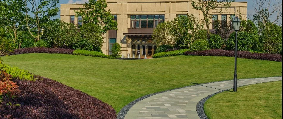 Commercial property in Dallas, TX, with a nice, green lawn and plants.