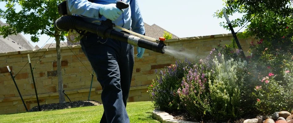 Crew spraying mosquito control treatment on landscape plants in Waco, TX.