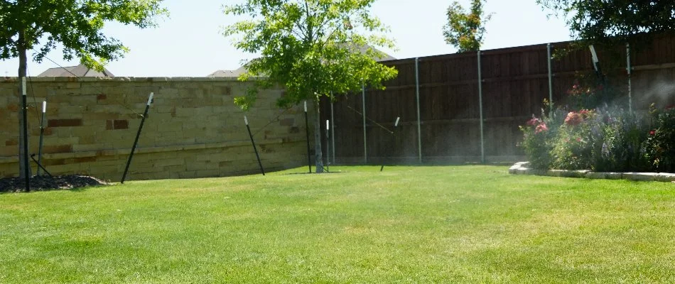 Fenced lawn in Mabank, TX, with plants.