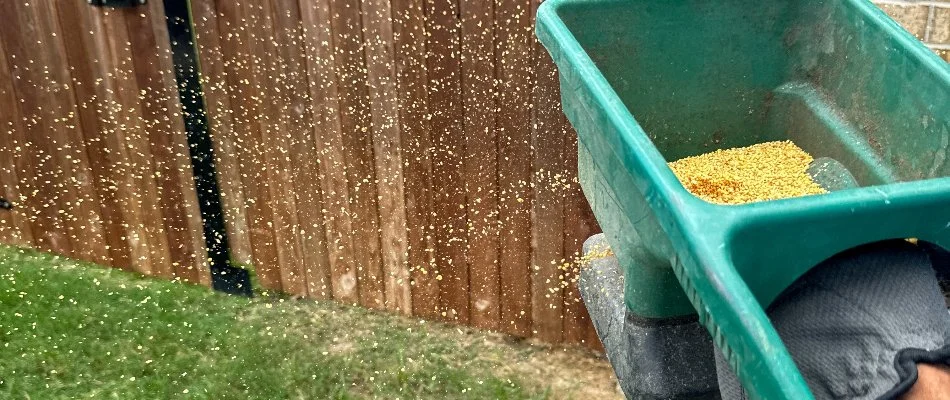 Fire ant control being spreading over a lawn in Dalworthington Gardens, TX.