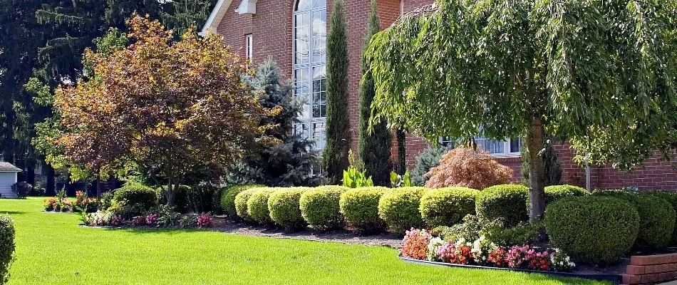 A lawn with green grass and plants near a rock wall in Grand Prairie, TX.