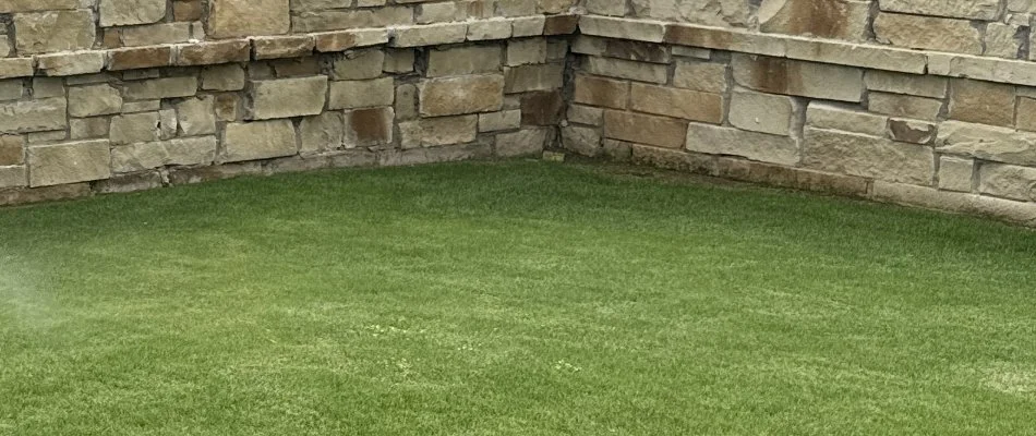 Wall fence around a green lawn in Coppell, TX.