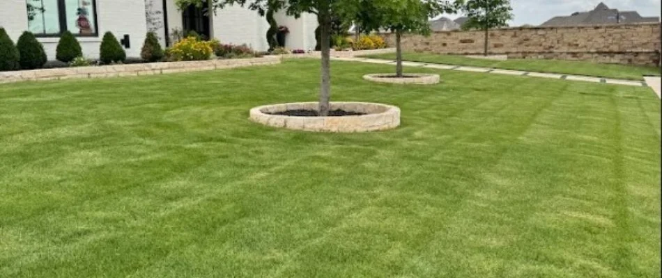 Green grass and trees on a residential property in Cedar Hill, TX.