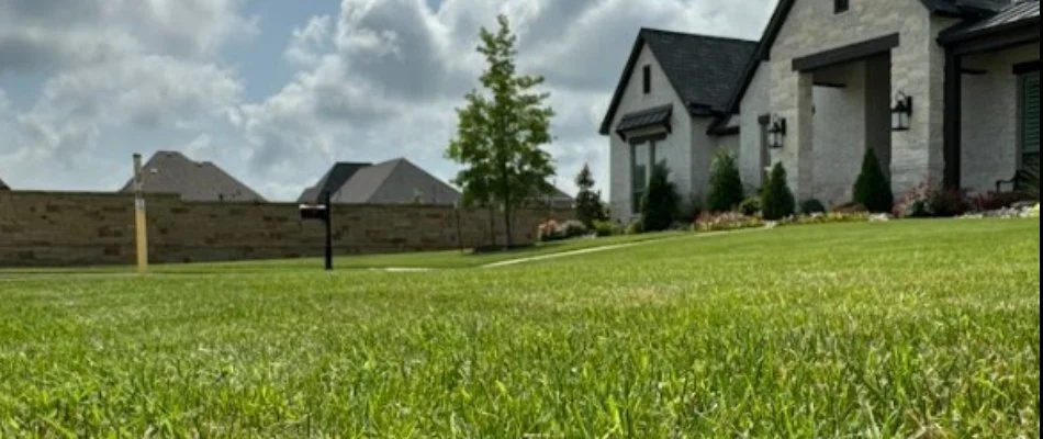 Green, lush lawn on a residential property in Keller, TX.