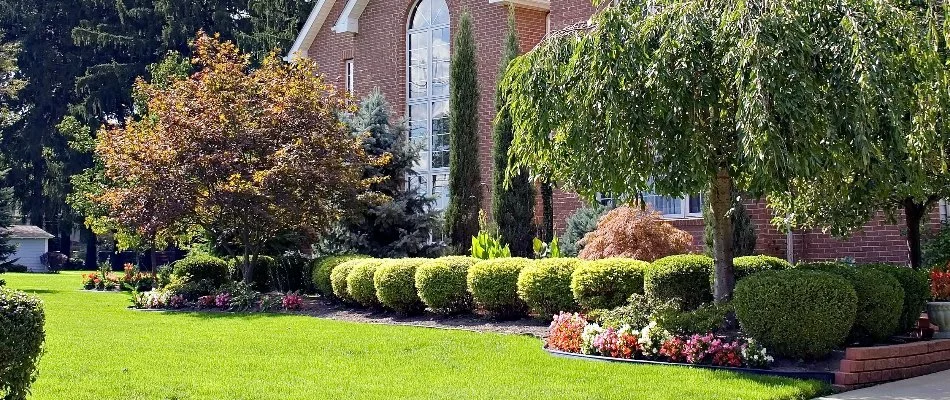 Green lawn with trees on residential property in Waxahachie, TX.