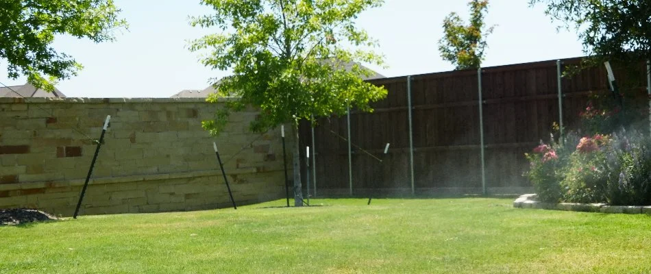 Healthy green lawn in Irving, TX, with small trees and flowers.