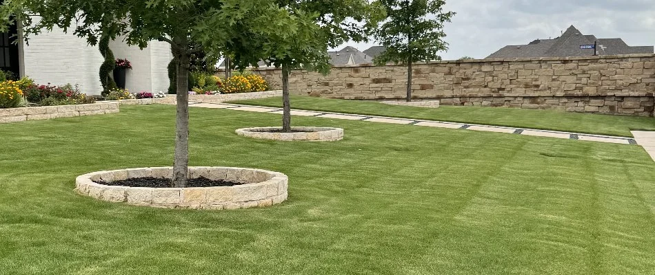 Healthy green lawn in Rowlett, TX, with trees.