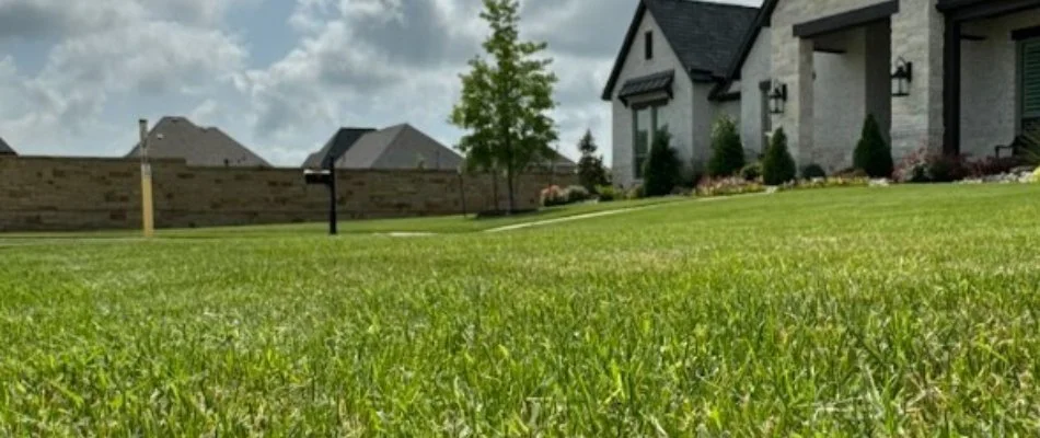 Healthy lawn on a residential property in Godley, TX.