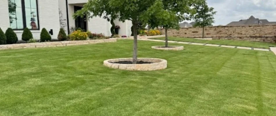 Healthy, green lawn with trees on property in Haslet, TX.