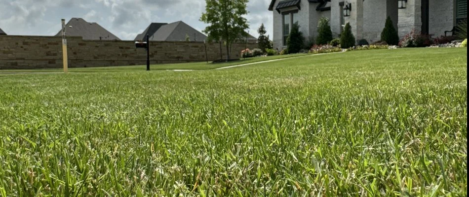 A house in Dallas, TX, with a front lawn full of green grass.