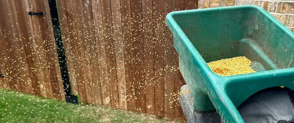 Lawn care treatment being applied to a lawn in Midlothian, TX.