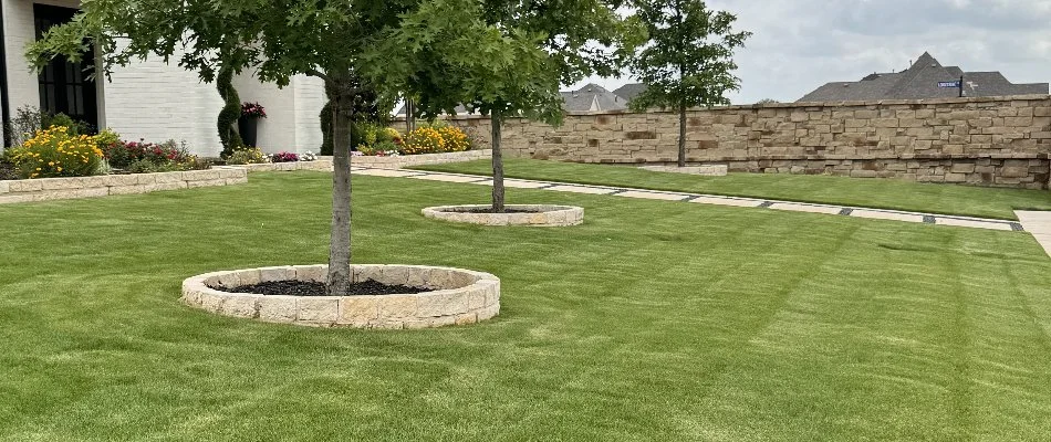 Lush green lawn in Waco, TX, with plants.