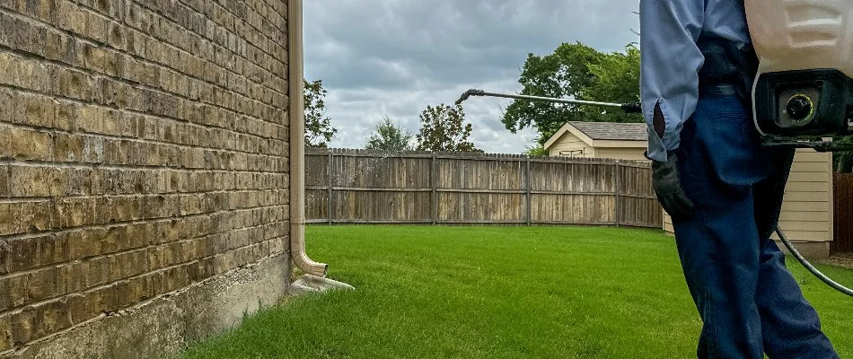 Perimeter pest control treatment being applied to a lawn in Dallas, TX.