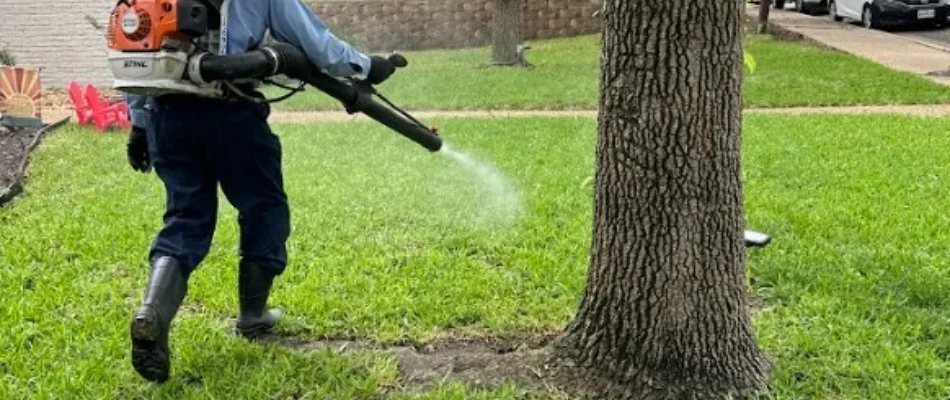 Worker applying pest control near a tree in Granbury, TX.