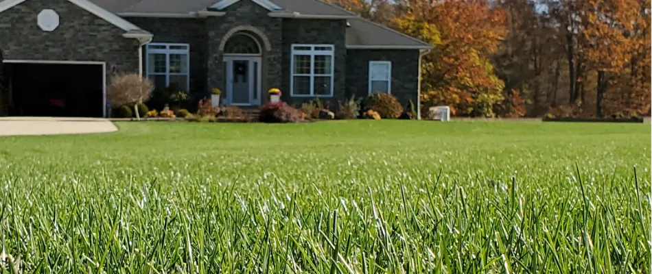 Lush green lawn in front of a house in Dallas, TX.