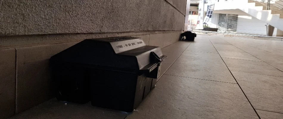 Pest control rat traps being set at office building in Dallas, TX.