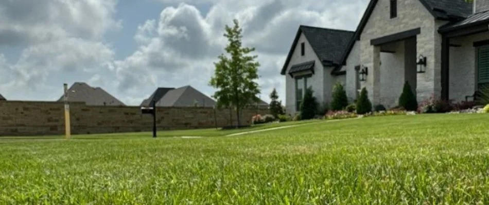 Home in Fort Worth, TX with beautiful green grass from lawn care services.