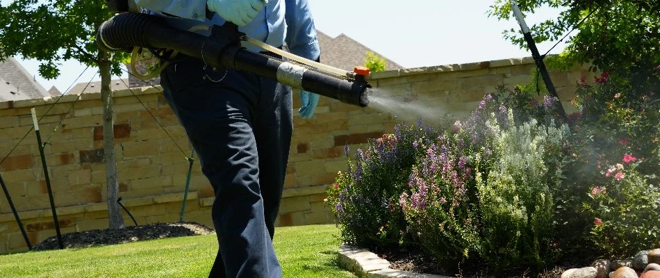 Technician applying a pest control treatment on a landscape in University Park, TX.