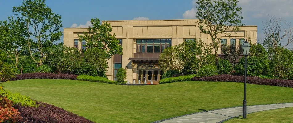 Plants and trees on a commercial property in Dallas, TX.