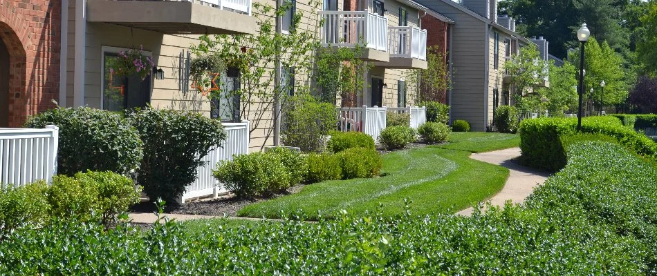 Trees and shrubs in an apartment complex in Dallas, TX.