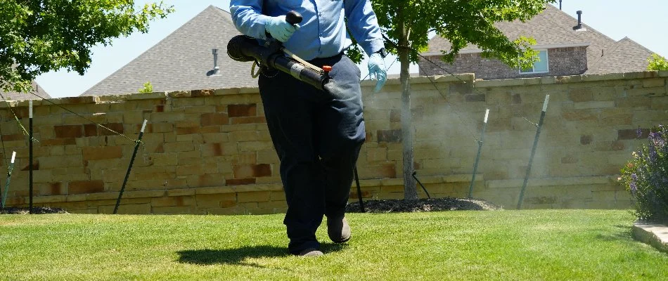 Worker applying a mosquito control treatment to a lawn in Dallas, TX.