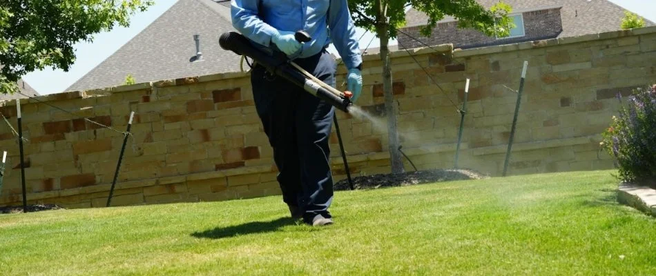 A worker in a blue shirt applying a pest control treatment to a lawn in Cedar Hill, TX.