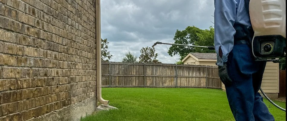 A worker in Richardson, TX, spraying a pest treatment on a brick wall. 