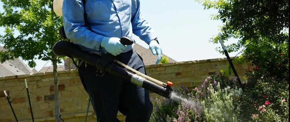 A worker in Dallas, TX, treating landscape beds with a backpack fogger.