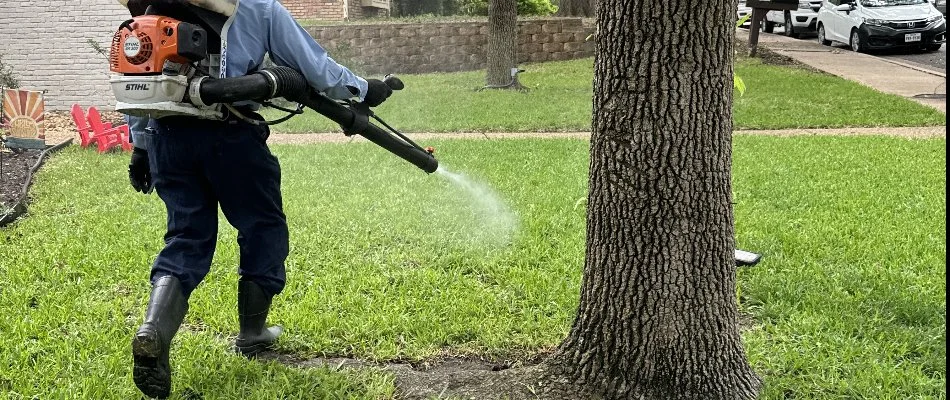 A worker in Robinson, TX, using a backpack fogger to treat around a tree.