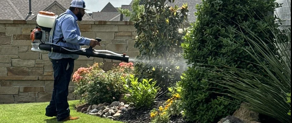 A worker using a backpack fogger to treat landscape plants in Mesquite, TX.