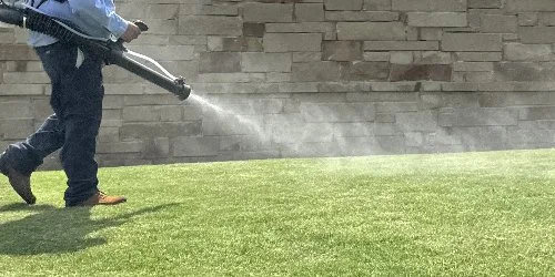 Technician using backpack sprayer on lawn in Dallas, TX.