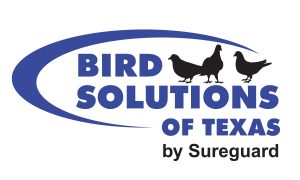 Bird Solutions logo